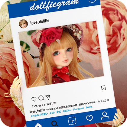 SD公式Instagram