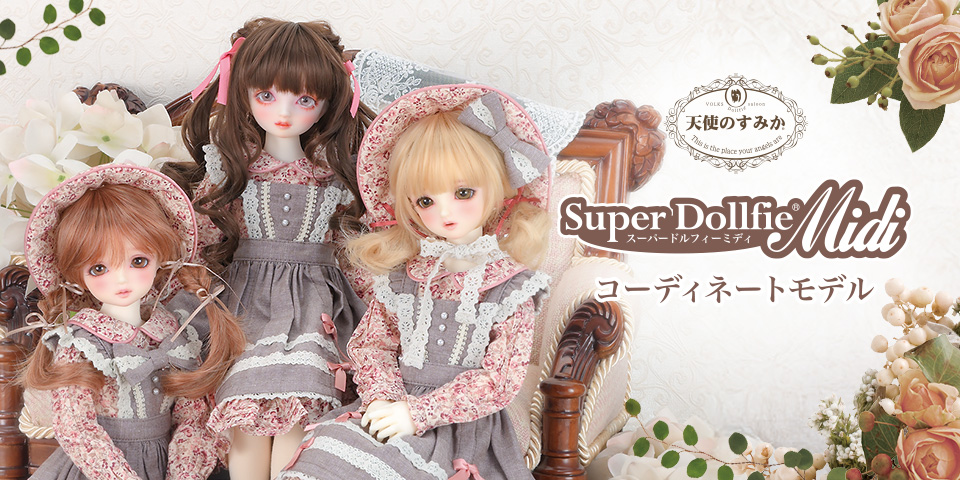 SDMコーディネートモデル販売