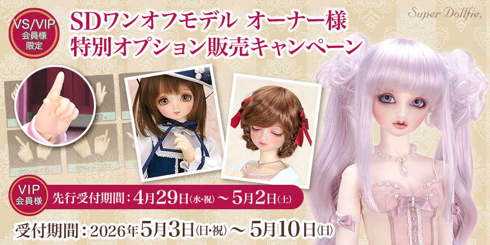 SDワンオフモデル オーナー様特別オプション販売キャンペーン