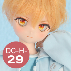 DC-H-29