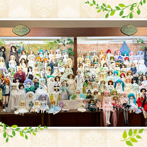 ドルフィー集合写真撮影会