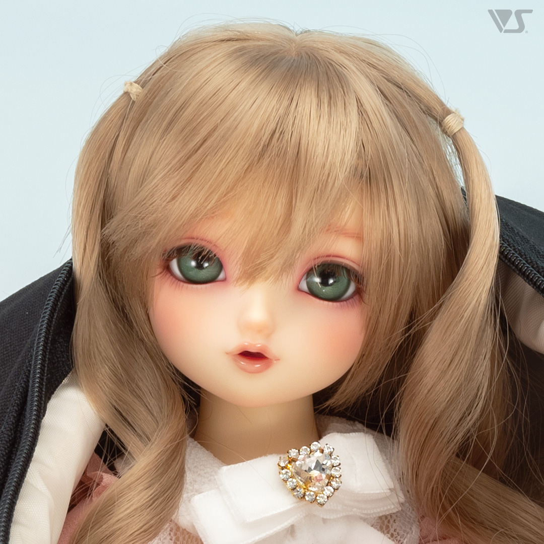 ボークス ニュース　バラ売り用 ボークスニュース Vol.108掲載 モデルドルフィーのご紹介