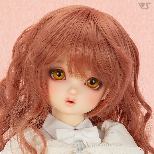 モデルドルフィー