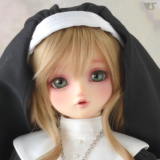 モデルドルフィー