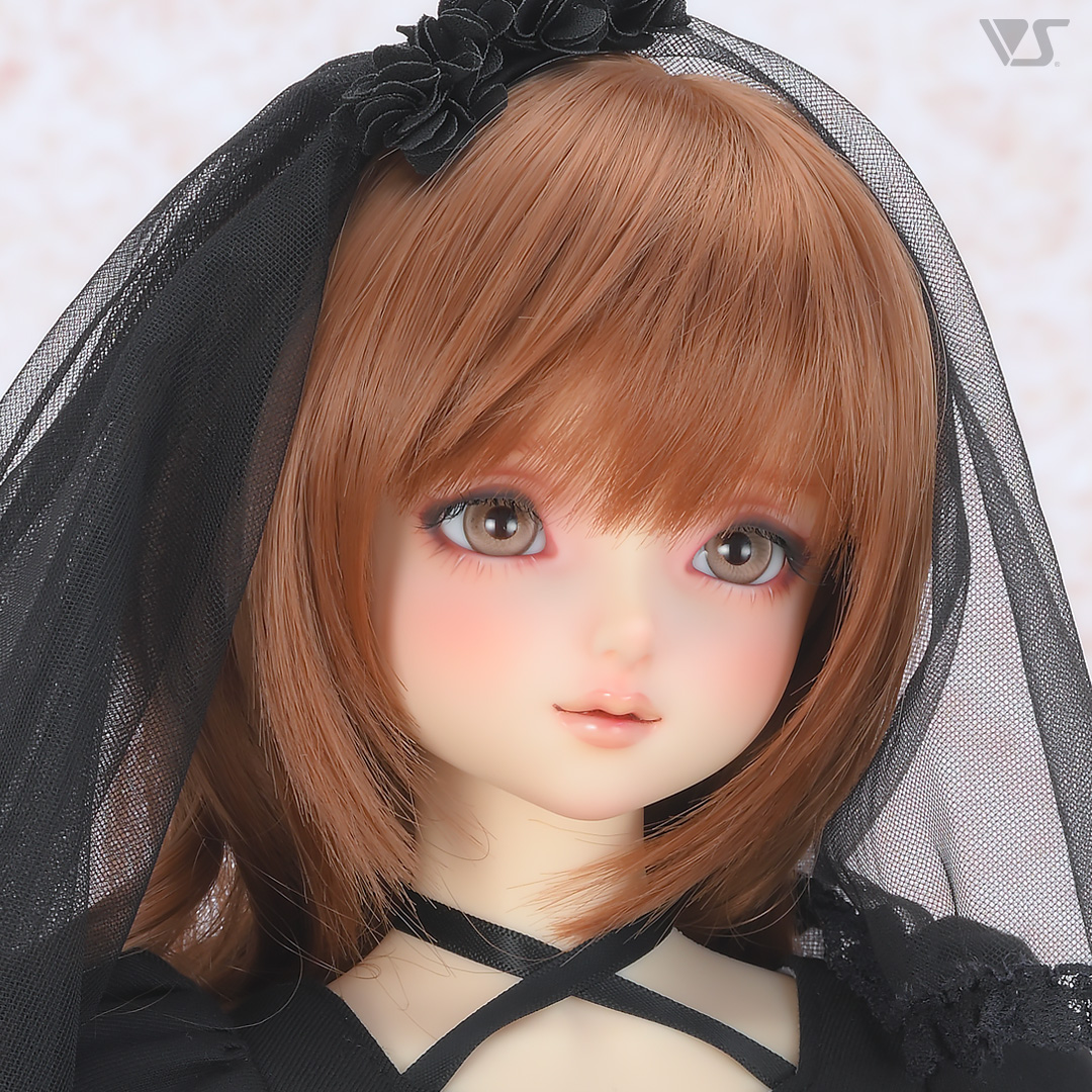 ボークスニュース Vol.108掲載 モデルドルフィーのご紹介