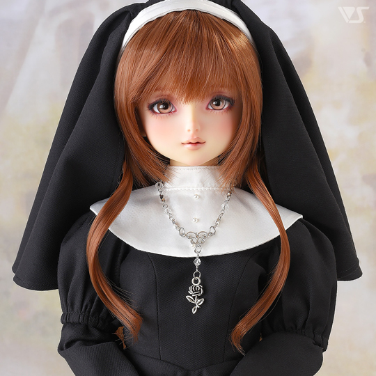 モデルドルフィー