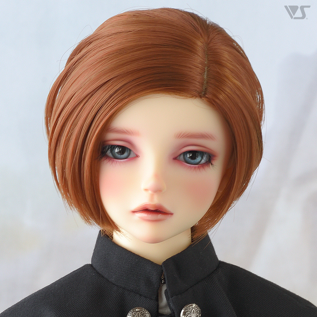 ボークス ニュース　バラ売り用 ボークスニュース Vol.108掲載 モデルドルフィーのご紹介