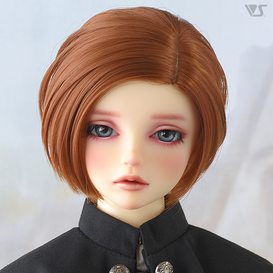 モデルドルフィー