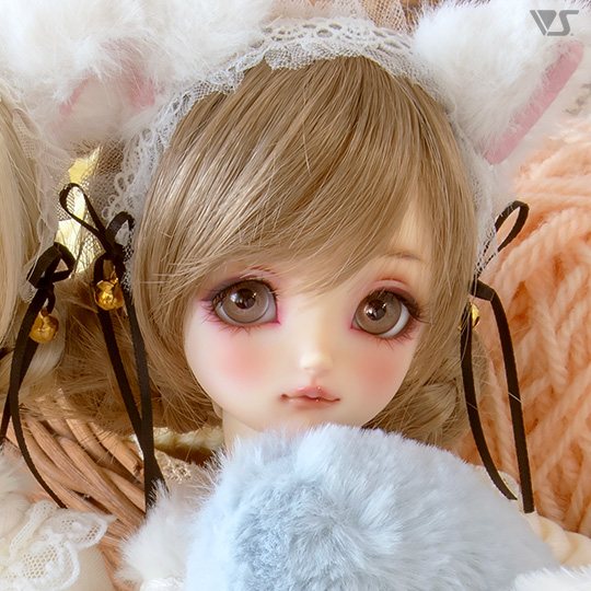 モデルドルフィー
