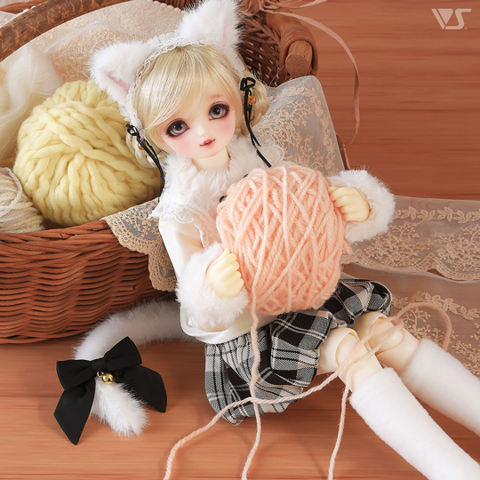モデルドルフィー