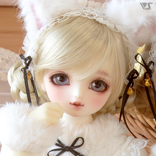 モデルドルフィー