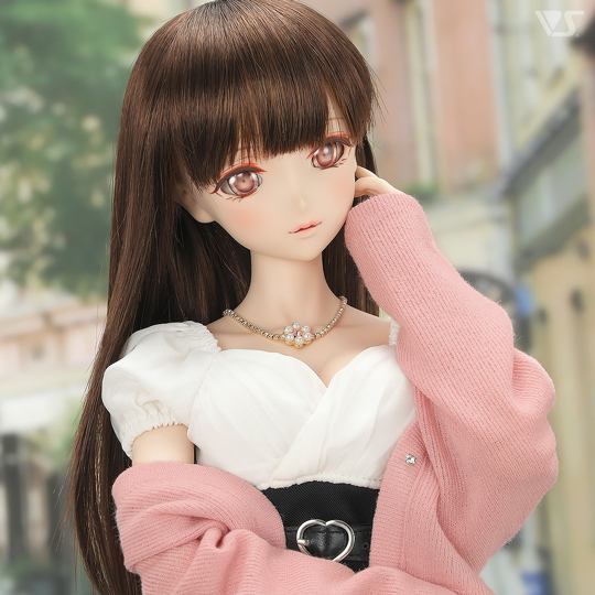 モデルドルフィー
