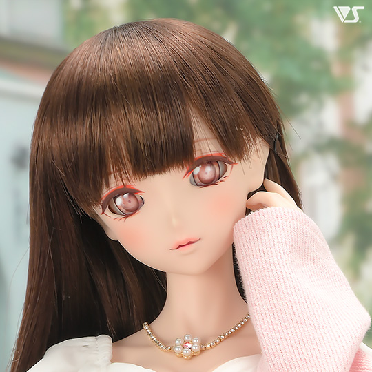 モデルドルフィー