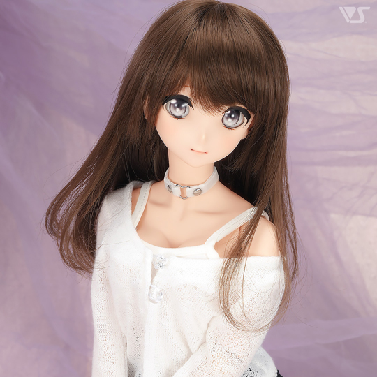 モデルドルフィー