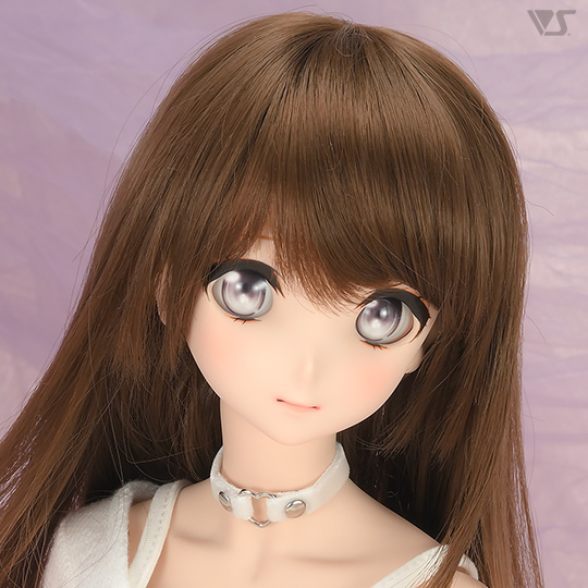 モデルドルフィー