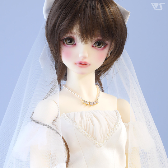 モデルドルフィー