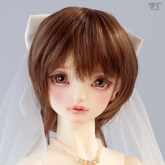 モデルドルフィー