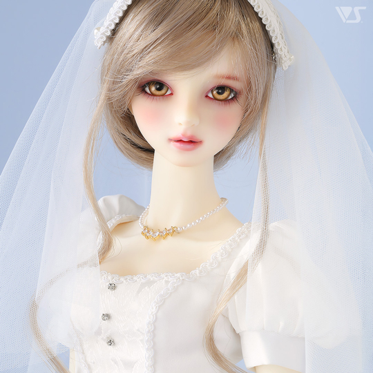 モデルドルフィー