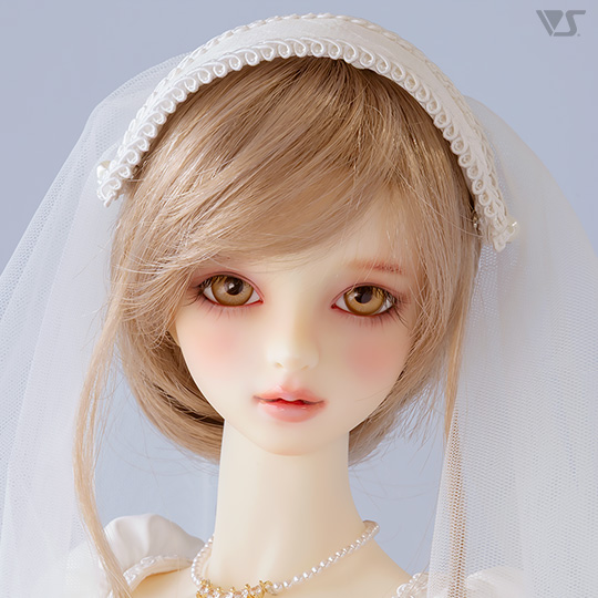 モデルドルフィー