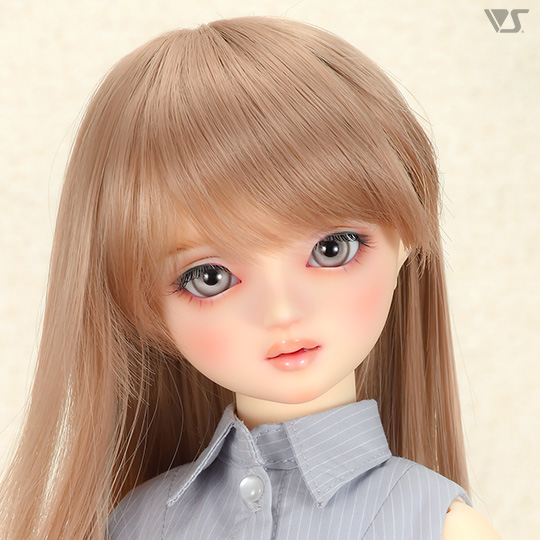 モデルドルフィー