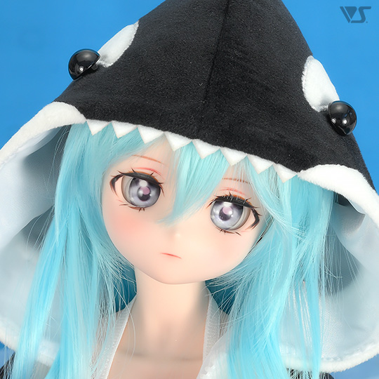 モデルドルフィー