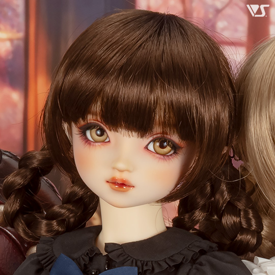 モデルドルフィー
