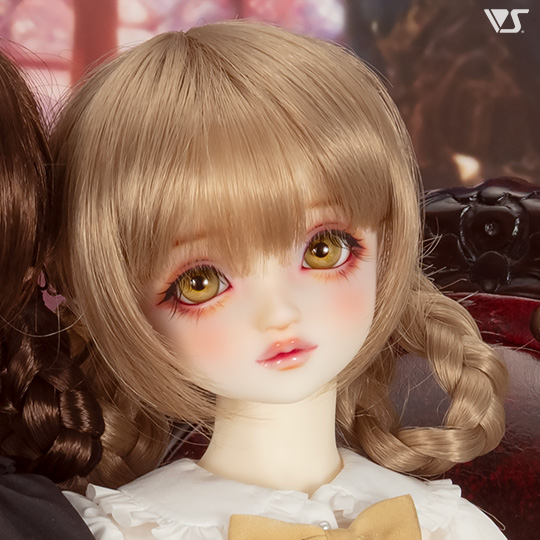 モデルドルフィー