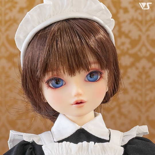 モデルドルフィー