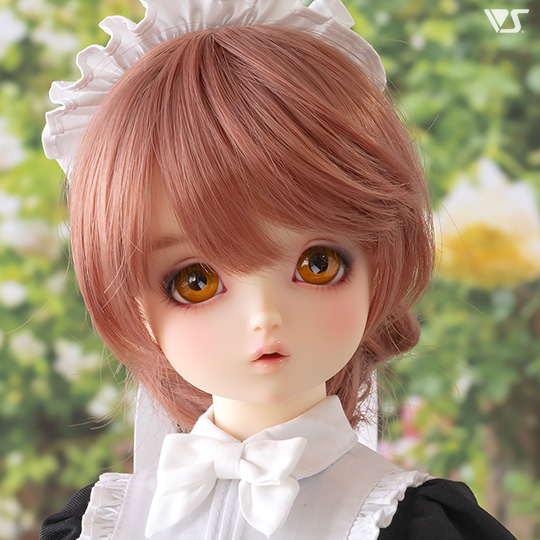 モデルドルフィー