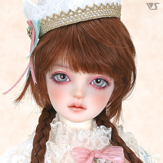 モデルドルフィー