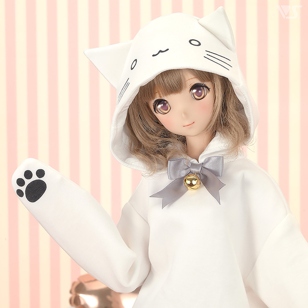 モデルドルフィー