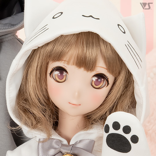 モデルドルフィー