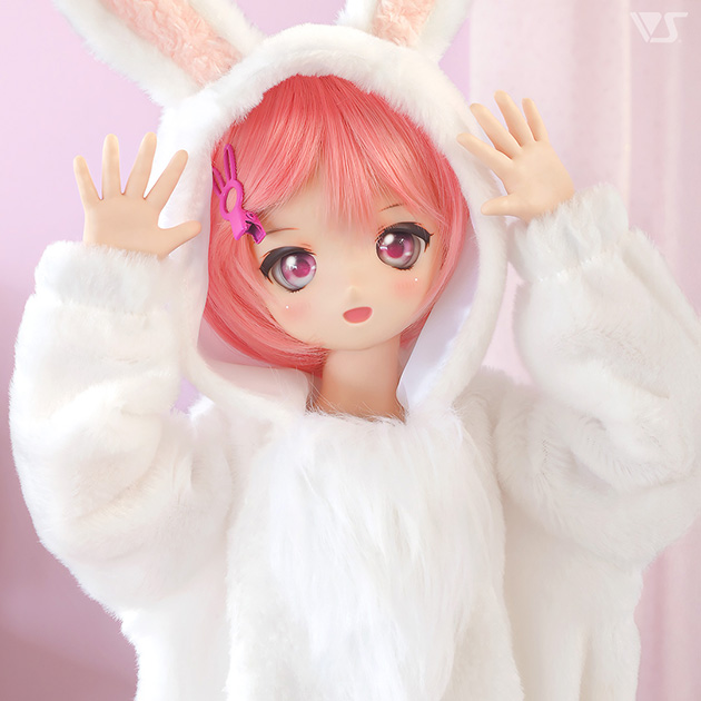 モデルドルフィー