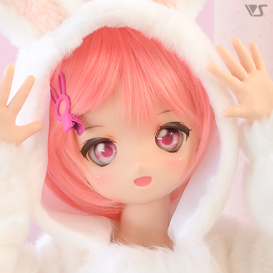 モデルドルフィー
