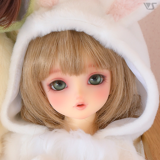 モデルドルフィー