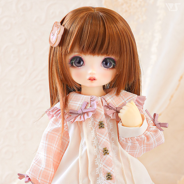 モデルドルフィー