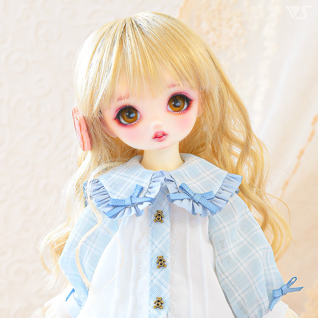 モデルドルフィー