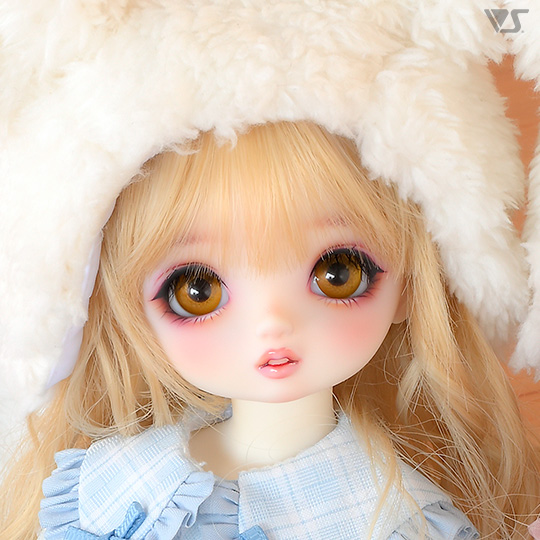 モデルドルフィー