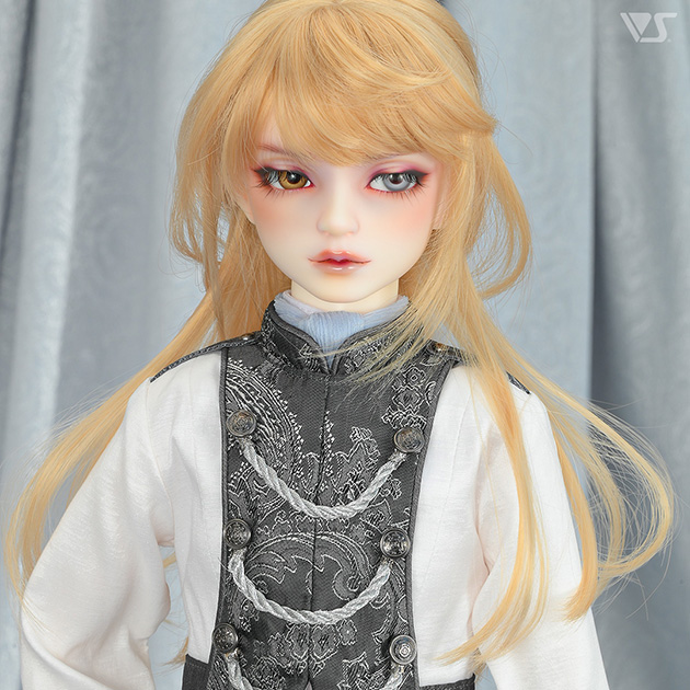 モデルドルフィー
