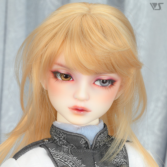 モデルドルフィー