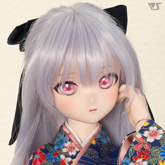 モデルドルフィー