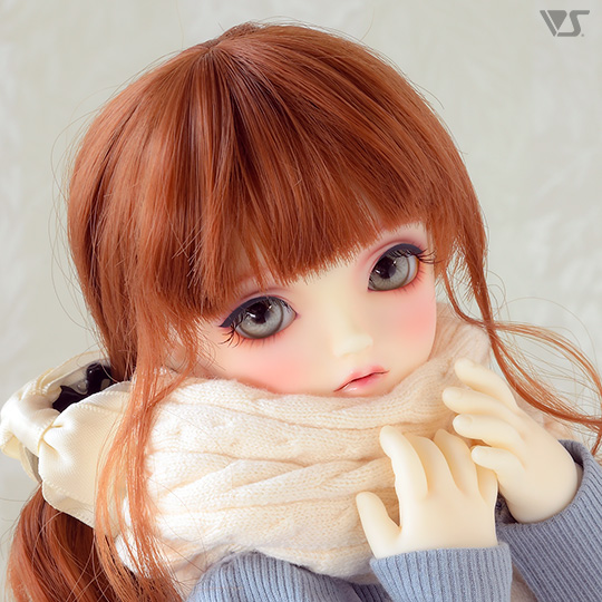 モデルドルフィー