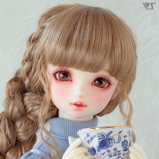 モデルドルフィー
