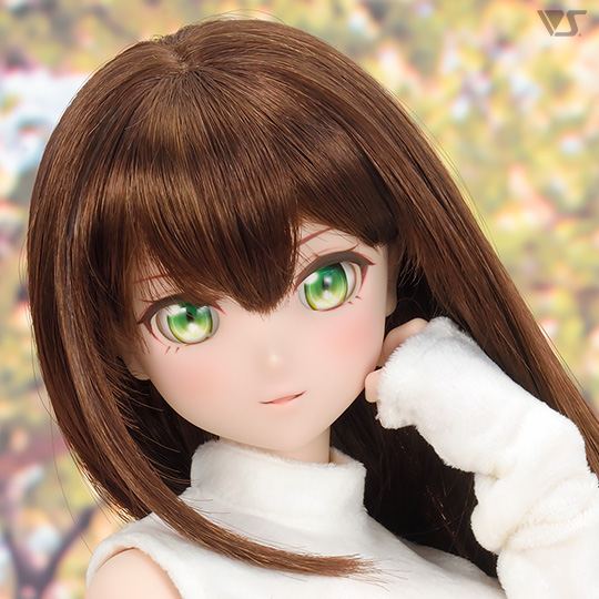 モデルドルフィー