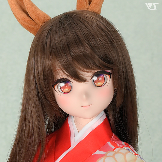 モデルドルフィー