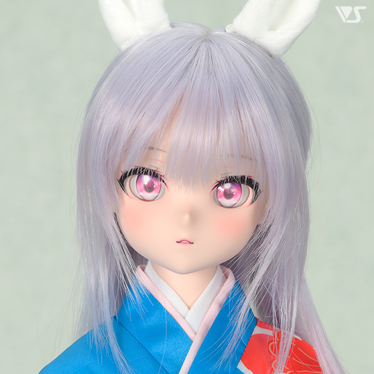 モデルドルフィー