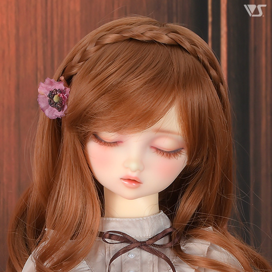 モデルドルフィー