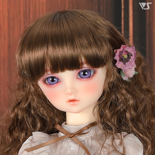 モデルドルフィー