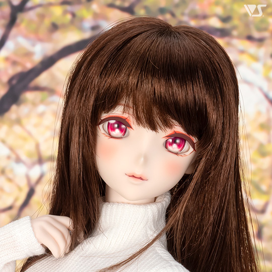 モデルドルフィー