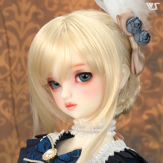 モデルドルフィー